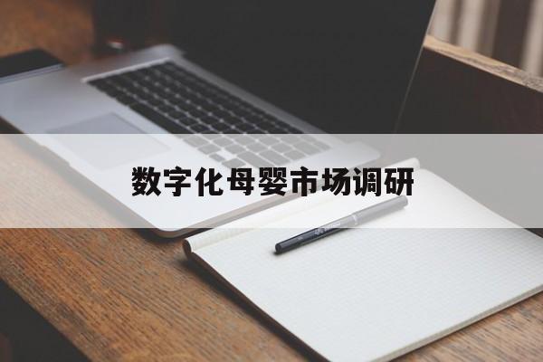 湘潭市数字化母婴市场调研(数字化母婴市场调研报告)