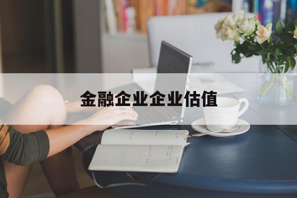 湘潭市金融企业企业估值(最新企业估值怎么填)
